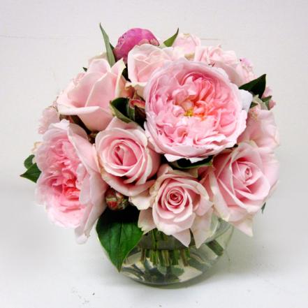 Country Classic Small in a vase