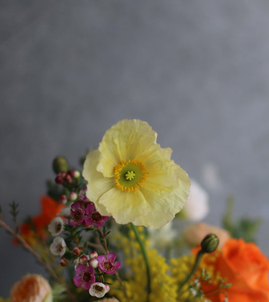 Spring Flowers in Melbourne — What’s in Season at BOUQUET Melbourne - BOUQUET Melbourne