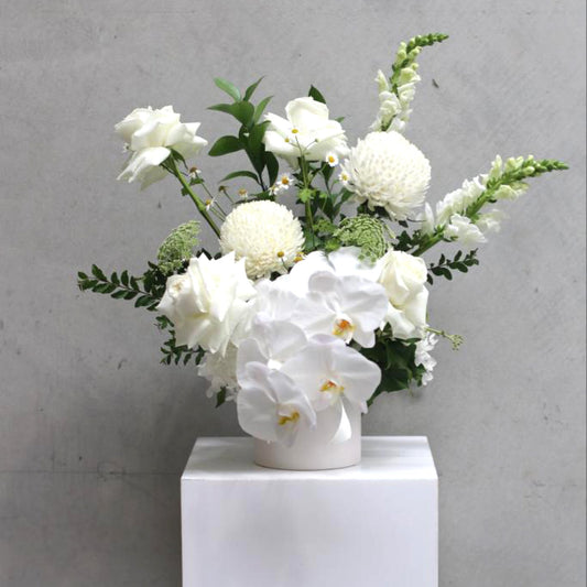 White Bundle of Joy Blooms
