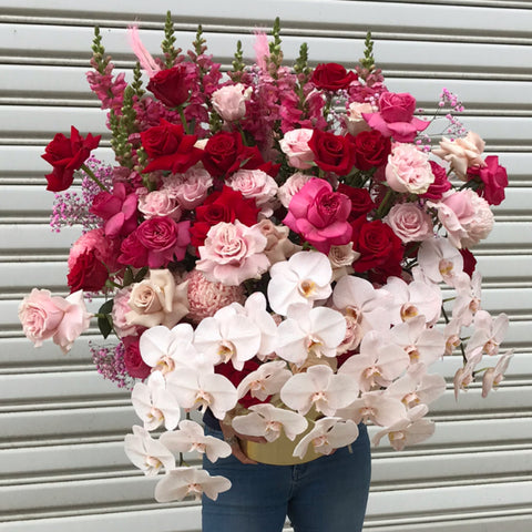 Mega Arrangement -Ecuador Roses